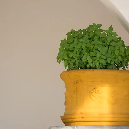 Melikari Hotel Skyros