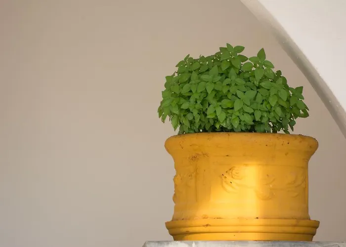 Melikari Hotel Skyros